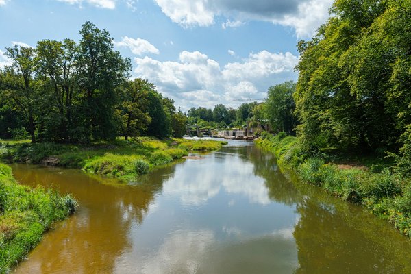 Quels indicateurs suggèrent une crise d'encéphalite auto-immune ?
