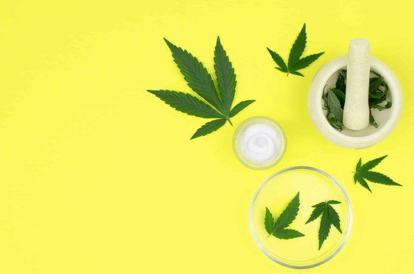 Découvrez tout autour du chanvre, cette plante bénéfique à la santé