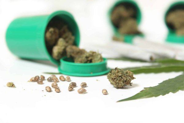 Découvrez la fleur cbg white pour un soulagement naturel