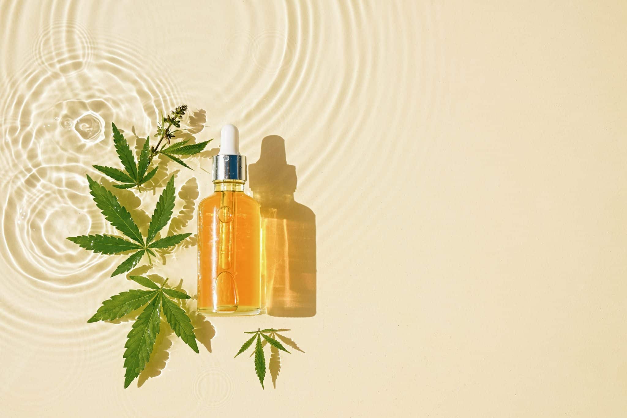 Pourquoi utiliser l’huile de CBD ?